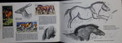 Brooke Bond Picture Cards   Asian Wildlife