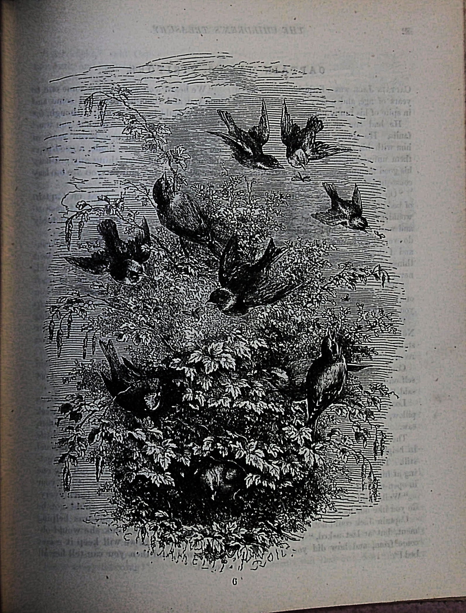The Childrens Treasury of  Pictures and stories ~ 1883