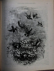 The Childrens Treasury of  Pictures and stories ~ 1883