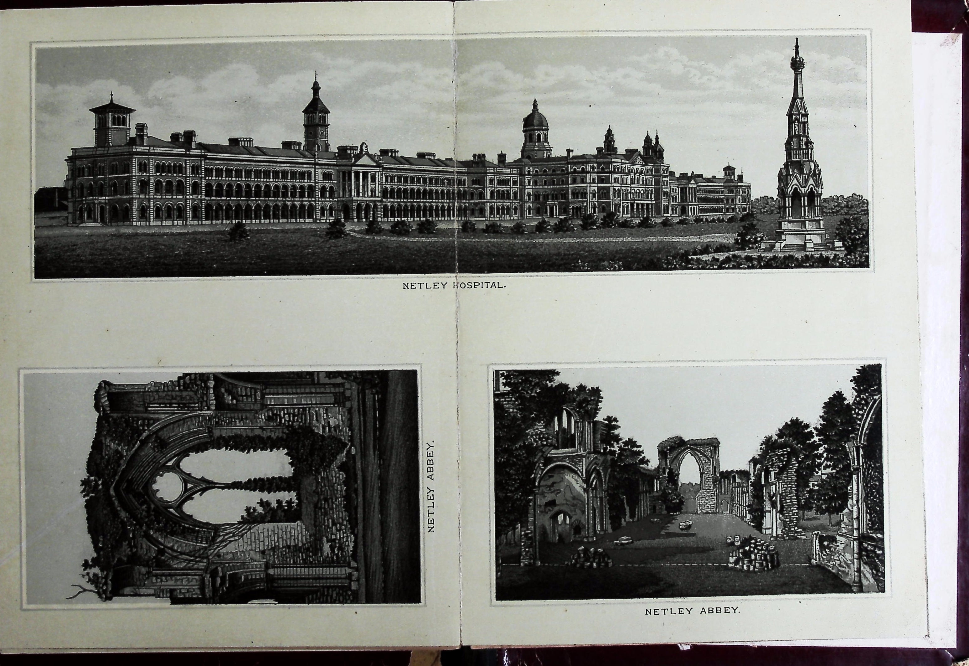 The Album of Southampton