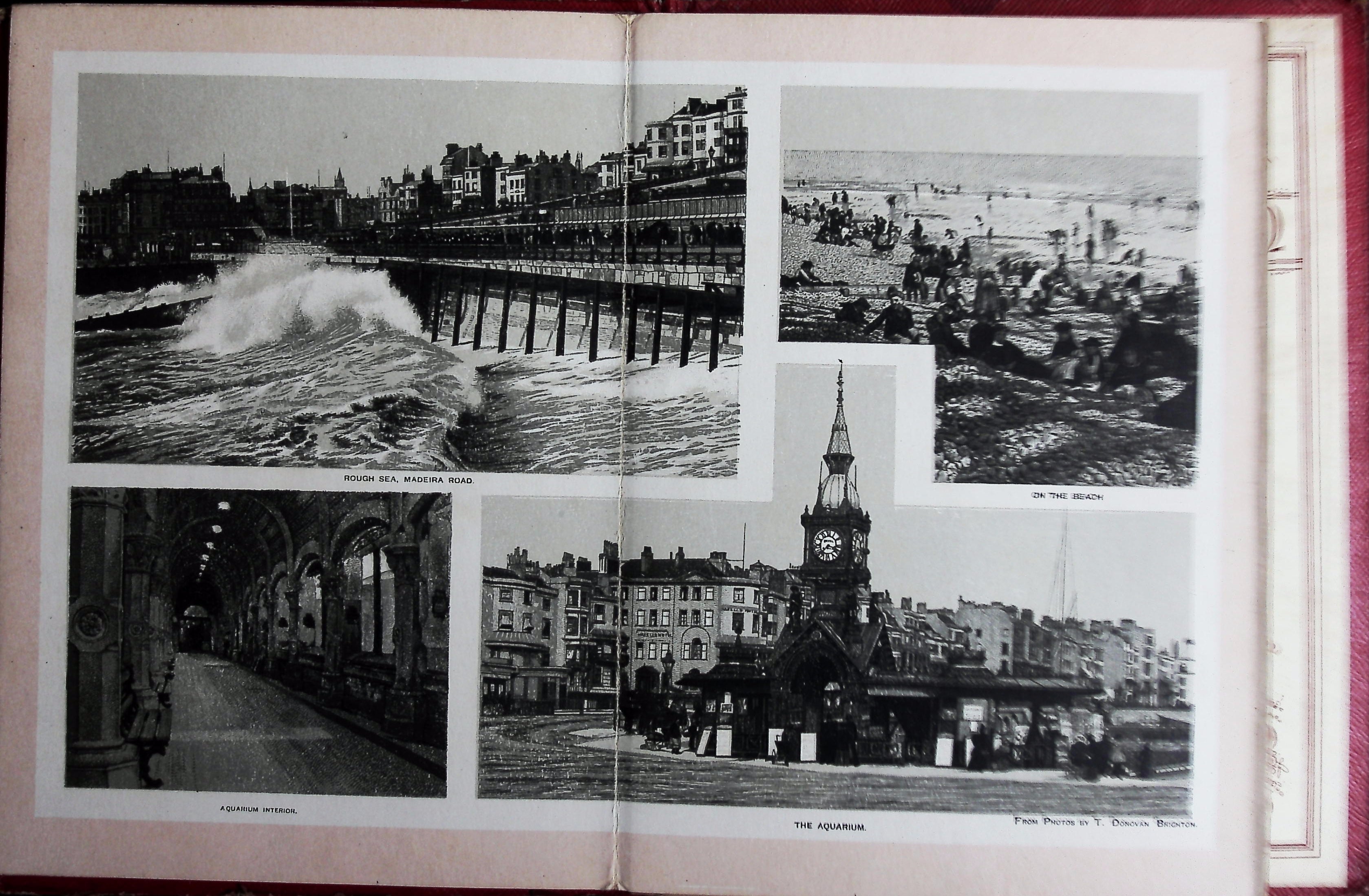The Album of Brighton