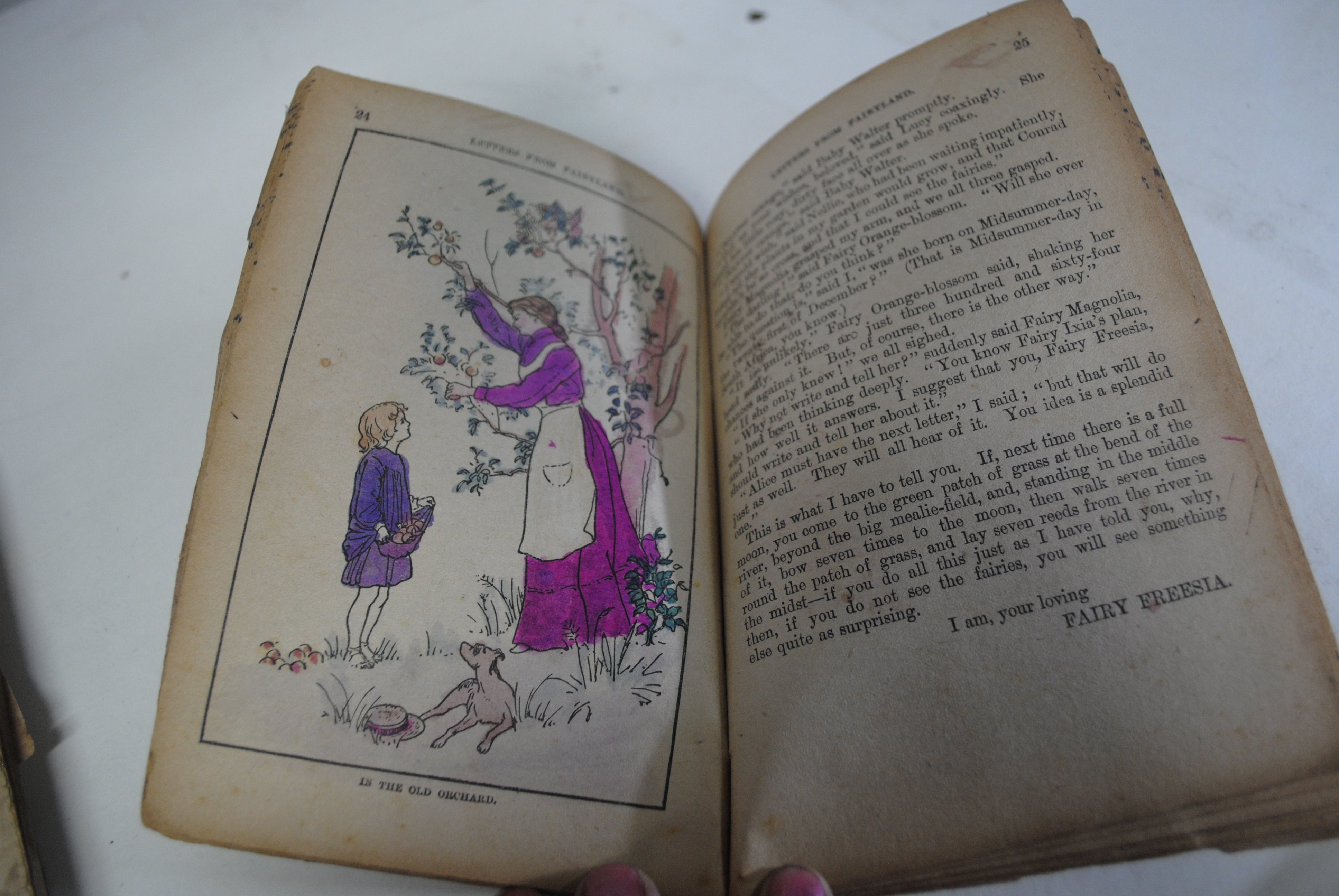 Books for the Bairns ( No.11 plus four)