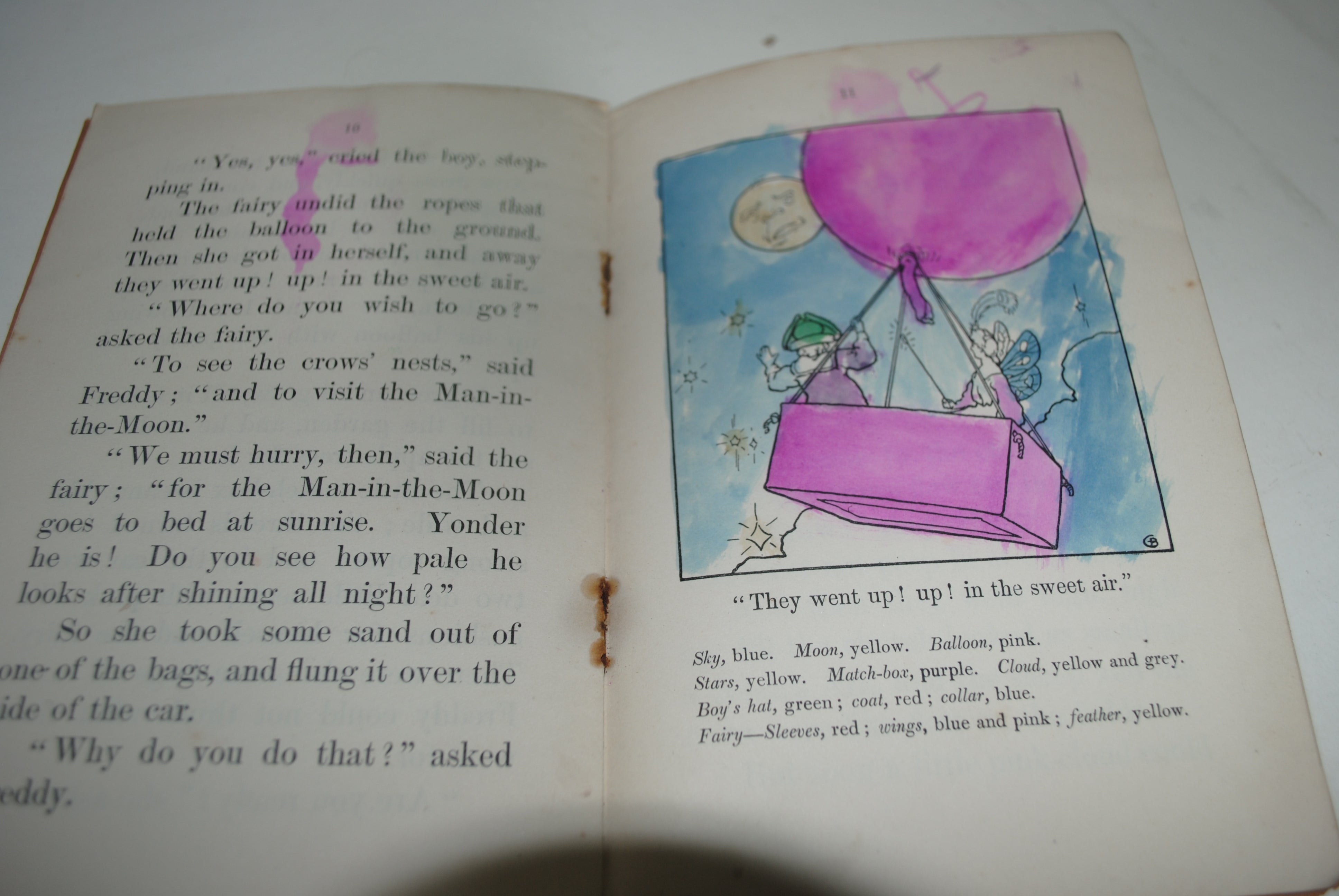 Various Literary books for young readers( five titles)