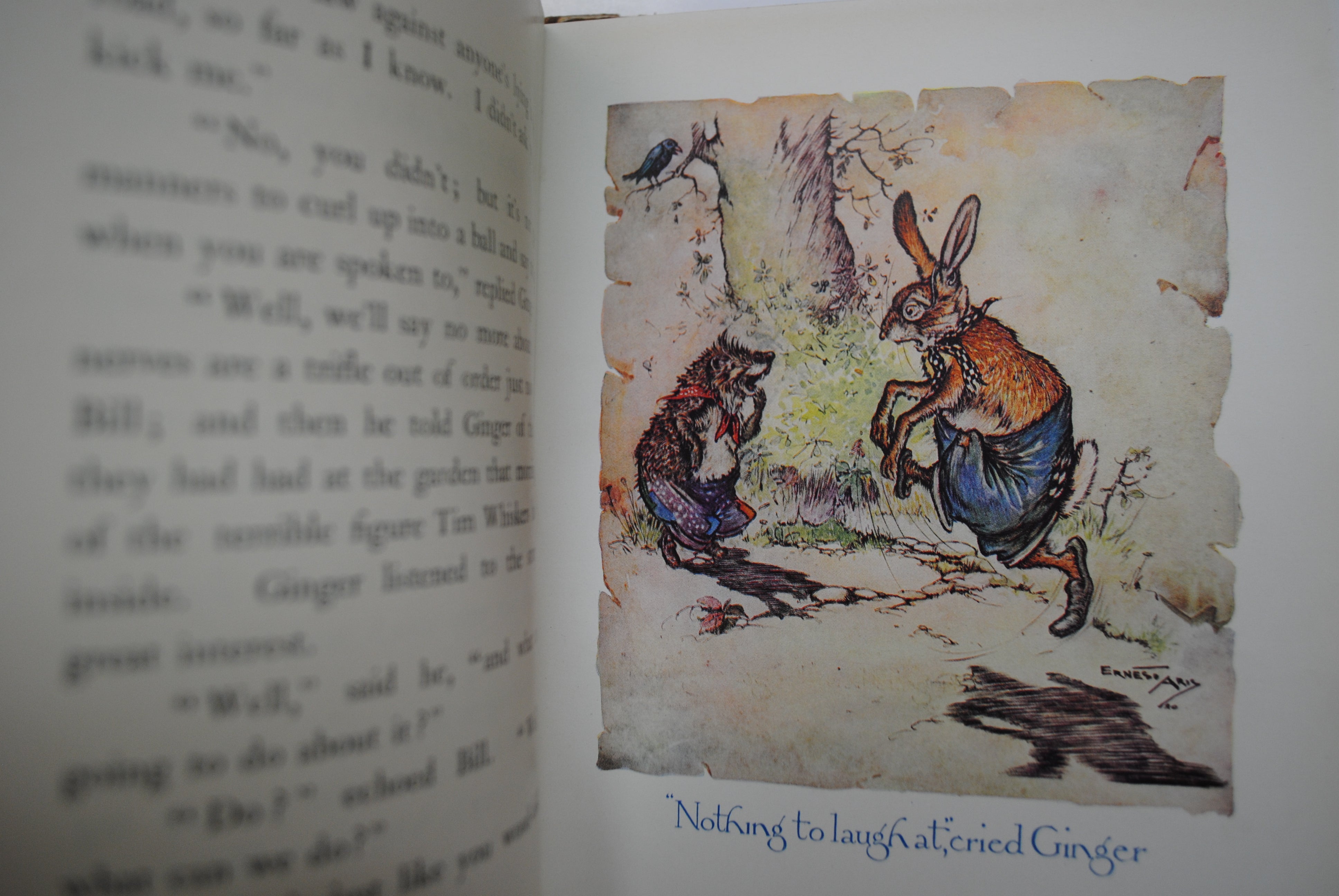 The Story of Ginger Hare, Ernest Aris