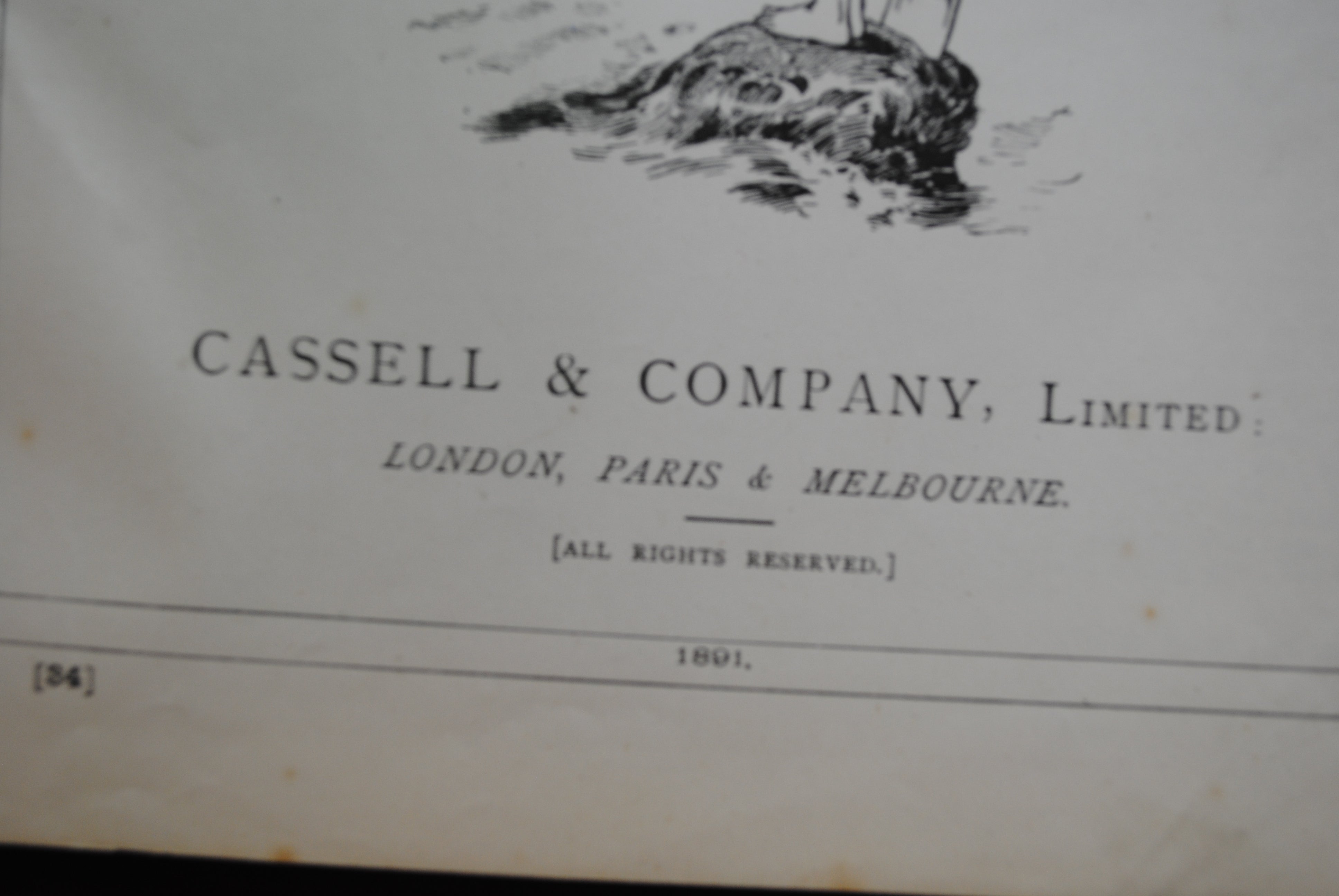 Little Folks 1891 Poss Vol 62