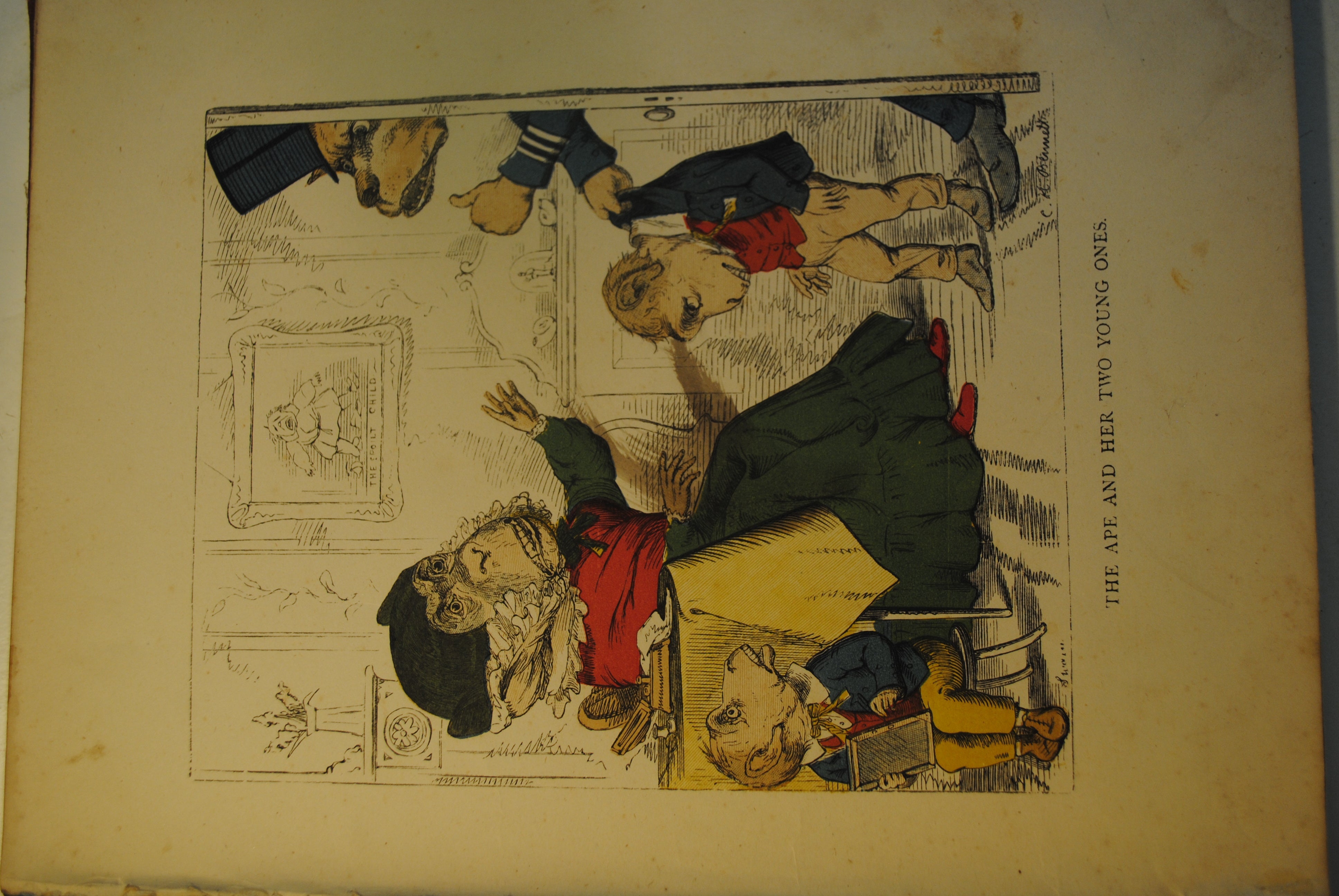 The Fables of Aesop and Others (Translated into Human Nature) colour pages